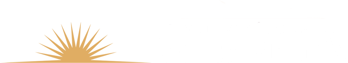 Vitivinícola Santa Maria